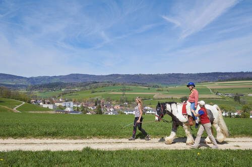 Parcours d'admission